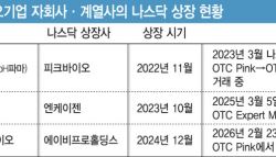 로킷아메리카, 美서 불확실성·고평가 지적...K바이오 나스닥 상장 잔혹사 재현?