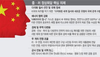 "중국에 석유·석탄 등 중단없이 공급"…중·러 에너지 협력 공고히(종합)