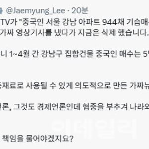 李 "중국인이 강남 아파트 싹쓸이? 혐중 부추긴 가짜뉴스"