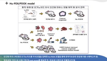 '실적으로 승부'... 센트럴바이오, 상장 전 매출 세 배·두 자릿수 수익 정조준
