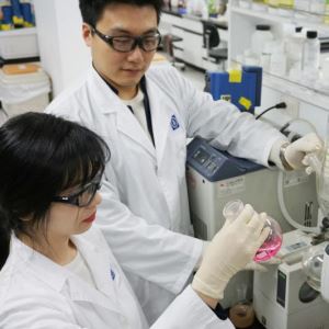 종근당바이오, 연내 보톡스 中당국 허가 추진....경쟁력 분석해보니