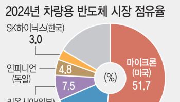 "반도체 절대강국, 車반도체만 유독 뒤져…글로벌 격차 더욱 커질라"