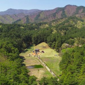왕을 낳은 금강송 숲…역사와 힐링 공존