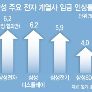 삼전 합의는 새 갈등의 시작…들끓는 계열사·하청 노조