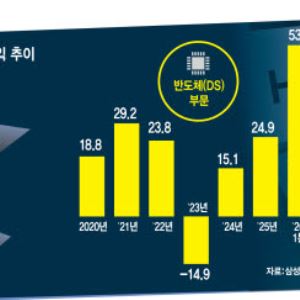 삼전 분사론 살펴보니…"DS·DX 사내 계급화" vs "지배구조 재편 부담"