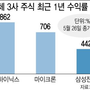 삼전 수익률, 메모리 3사중 꼴찌… DS 분리땐 1.4배 뛸 것