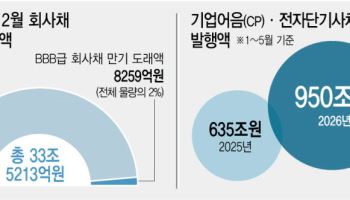 단기자금으로 눈 돌린 기업들…신용경색 시한폭탄 째깍째깍