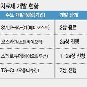 골관절염 근본치료제 ‘옥석 가리기’…모달리티별 가능성은?