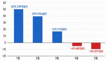 RIA 막차 탄 서학개미…美 주식 팔고도 AI株는 담았다