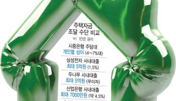 "삼전은 5억 빌려준다는데…" 가계대출 규제속 '사내대출' 확산
