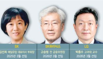 거수기 탈피 대기업 이사회…과도한 경영 간섭 성장통도
