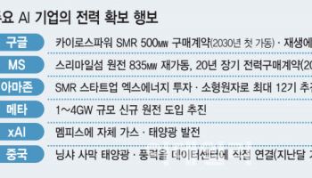 AI, 똑똑한 건 거기서 거기…삼성·SK '연비 좋은' 메모리 시험대