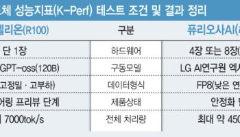“엔비디아 안 부럽다”... 베일 벗은 토종 AI 칩, 초거대 모델 한 장으로 돌렸다 [only 이데일리]