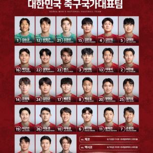 '손흥민 7번·이강인 19번' 홍명보호, 배번 공식 발표[북중미월드컵]