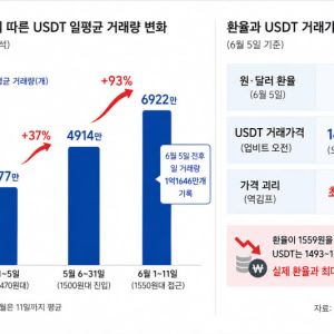 환율 뛰자 테더 거래 93% 급증…가격은 되레 '逆김치프리미엄' 확대