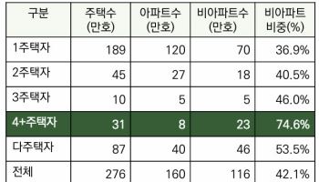 다주택자 절반 이상은 지방 주택 보유…일괄 규제시 '지방 침체 심화'