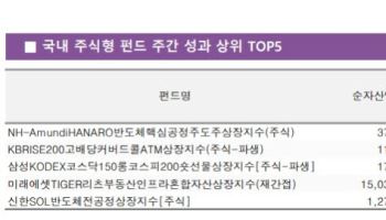 삼전닉스 쉬는 사이 반도체 소부장 ‘껑충’…“수혜 확대”