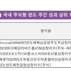 삼전닉스 쉬는 사이 반도체 소부장 ‘껑충’…“수혜 확대”[펀드와치]