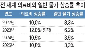 日 대형 손보사, 내달 개인용 해외여행 보험료 인상