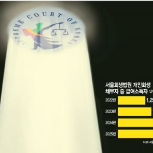 빚투·영끌 늘며 회생신청 증가…실무준칙 통일해 판결기간 줄여야