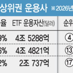 美 빅3 운용사, 레버리지 기피…韓 대형사, 직접 참가