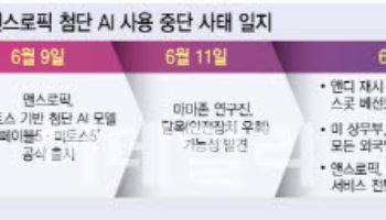 안보 핑계로 AI 장벽 높이는 美…'소탐대실' 지적