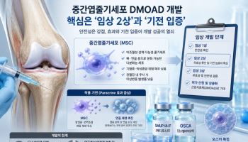 중간엽줄기세포 골관절염 근본치료제 개발 러시...핵심 포인트는?
