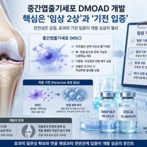 중간엽줄기세포 골관절염 근본치료제 개발 러시...핵심 포인트는?