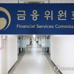 43조 카드론, 고삐 죈다…금융위, 보험 이어 카드·캐피털사 호출