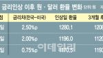 치솟는 환율, 금리 올리면 진정?…이번엔 글쎄
