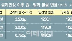 치솟는 환율, 금리 올리면 진정?…이번엔 글쎄