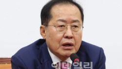 홍준표 '호남투자 반대' 국힘에…"과거 경부고속도로 반대와 마찬가지"