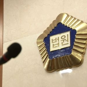 "보호해달라" 신고해 놓고…경찰 코뼈 부러뜨린 50대女 실형
