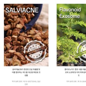 옵트바이오, 메가시티 R&D 사업 본격 착수…"AI 메디뷰티 플랫폼 구축"