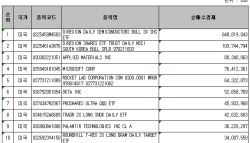 '반도체 피크아웃' 경고에도…반도체 '줍줍' 나선 서학개미들