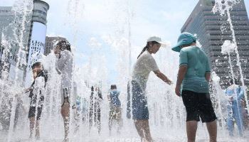 폭염에 온열질환자 급증…어제 99명 응급실 이송