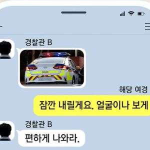 "환승 불륜"...'관계도'까지 등장한 경찰 스캔들, 처분은 고작