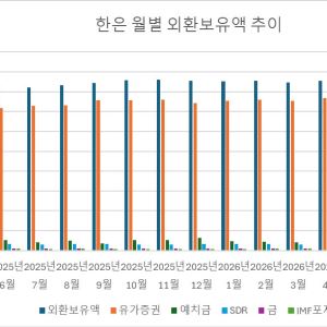 고환율로 4200억달러대 정체 중인 외환보유액…대미투자금 조달 부담↑