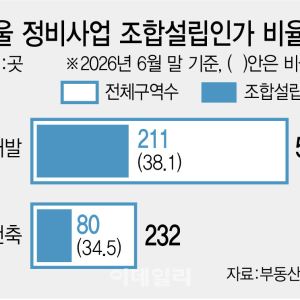 재건축보다 빠르네…투자 몰리는 재개발