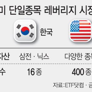 "엔비디아도 울고 가겠네"…'삼전닉스' 레버리지에 코스피 흔들릴 판
