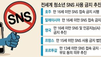 16세 미만 SNS 규제 현실화…인스타그램 ‘직격탄’, 네이버·카카오는 인증 비용 부담