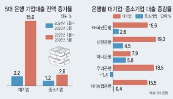 [단독] 중소기업에 인색한 은행…대기업엔 15%, 중기엔 2.6% 대출 늘려줬다