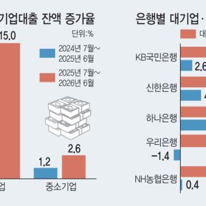 [단독] 중소기업에 인색한 은행…대기업엔 15%, 중기엔 2.6% 대출 늘려줬다