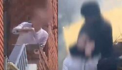 '팍팍!' 타정총 남성, 정체는...경찰특공대 투입 순간 보니
