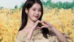 아이유, 건강 악화로 컴백 연기…박나래 전 매니저 구속[희비이슈]