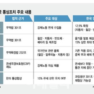 "美, 12.5% 강제노동 관세는 예고편일 뿐…韓, 15% 상한 명문화해야"