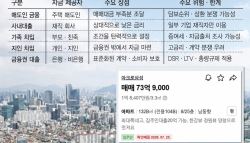 "집주인 대출, 20억원 가능합니다"…은행 막히자 ‘우회 영끌' 확산