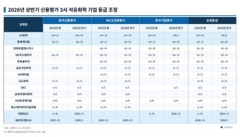 [마켓인]정부 7000억 지원에 석화업계 ‘숨통’…신용도 강등 멈출까