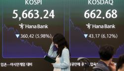 5억 증발 비명이…정부는 구경만? 분노로 번졌다