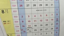 '역대급 휴가' 광복절 연휴까지 17일 쉬는 이 회사
